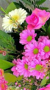 Amazingly beautiful flowers rose mallee(eucalyptus rhodanthas). Amazingly Beautiful Flowers Home Facebook