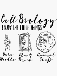 Nerdy Science Bio Puns For Cell Biology Enjoy The Little Things Funny Science Joke Sticker By Brightormuted Funny Science Jokes Funny Biology Shirts Science Puns