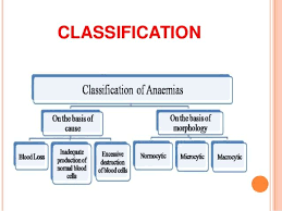 Pin On Hematology