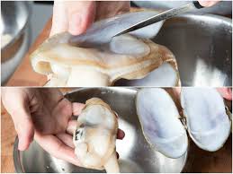 We need to get a hold of a time machine in order to go into the future to, first off, obtain a copy of lobodestroyo because that will be sweet. Pacific Razor Clams How To Catch Clean And Cook Them