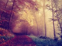 I love fall pumpkin carving, corn mazes, hay rides and the crisp fall weather. Happy First Day Of Fall Christian Background Sharefaith Media