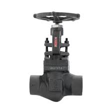 Forged Steel Globe Valves - Port Size: 1 Inch at 1400.00 INR ...