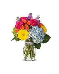 We did not find results for: Gainesville Florist Flower Delivery By Floral Expressions Florist