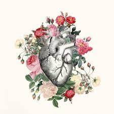 Roses For Her Heart Canvas Wrap Print On Canvas Wall Art Etsy In 2021 Anatomical Heart Tattoo Heart Illustration Anatomy Art