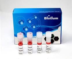Maybe you would like to learn more about one of these? 30002 T Viability Cytotoxity Assay Kit For Animal Live Dead Cell