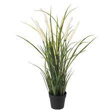 Beim gang durch die natur findet die autorin inspiration und ihre besten materialien wie tannenzapfen. Fejka Topfpflanze Kunstlich Drinnen Draussen Dekoration Gras 9 Cm Ikea Deutschland