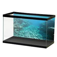 Rocky Riverbed Open Water Background Aquarium Vinyl Water Background Fish Tank Design Open Water