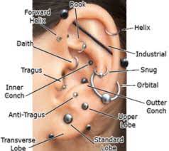 Pin By Kenidee Zundel On Fashion Lovesss Ear Piercings Ear Piercings Chart Cute Ear Piercings
