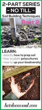 5 Steps To Building Healthy Soil Increasing The Biodiversity Of Your Soil Food Web Part 2 Wedding Florist Flower Farm In Buffalo Ny Wny Organic Gardening Soil Healthy Garden