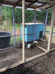 Almost complete, just need to build a permanent ramp, put all weather material on the coop roof. How To Make A Duck House The Cape Coop