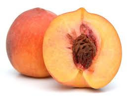 How To Sprout A Peach Seed Hunker Peach Fruit Peach Apricot Seeds