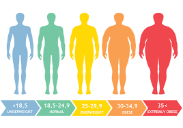 What Is A Good Bmi And Should I Worry About It Openfit