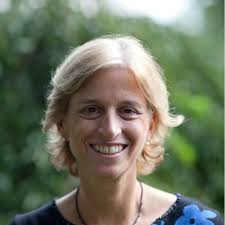 Washington International School Summer Institute for Teachers 2014:  Directory