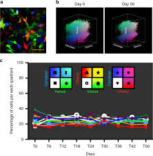 In few words explain what operating exposures are and comment on how did each, toyota and nissan, manage their operat. Clonal Dynamics In Osteosarcoma Defined By Rgb Marking Nature Communications