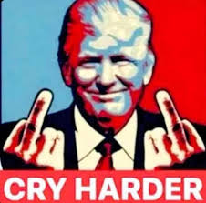 A federal judge in California has issued a nationwide injunction that will  block the Trump administration from ending legal status for foreign  students attending schools in the US while the underlying case