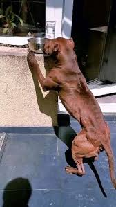 Find the perfect custom printed gifts for business branding, saying thanks, or awarding excellence! Mayscott Mayscott1966 Profile Pinterest