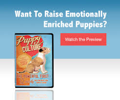 It is paid straight into your paypal account automatically during the next payment processing run which is the 15th of each month. Puppy Culture