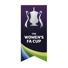 Seeking more png image red cup png,double cup png,styrofoam cup png? Womens Fa Cup Banner Sedgley And Gornal United Football Club