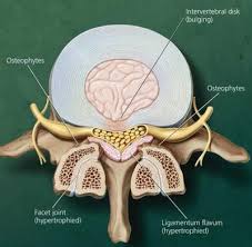 Pin On Med Research
