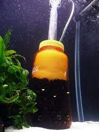 Pin On Fish Tank