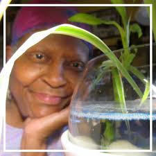 Fiction section 1 — Oyster River Pages