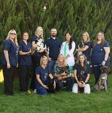 To receive free monthly veterinary care articles, please subscribe to our newsletter. Pet Health Clinic Home Facebook