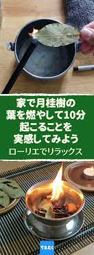 ローリエの健康効果 月桂樹の葉でリラックス ユーカリプトールが効果発揮 ローリエ 月桂樹 ベイリーフ アロマ 効果 リラックス おすすめ セラピー ローリエ ローレル ベイリーフとも呼ばれる 月桂樹の葉の香りには 心を落ち着かせる効能があるといわれ