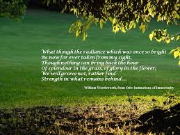 Ode Intimations Of Immortality By William Wordsworth William Wordsworth Glory Grass