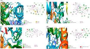 Image result for Heinsia