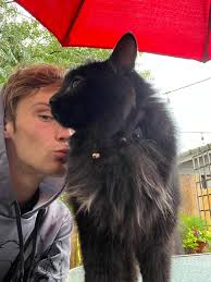 I am currently looking for a place/room by the first. I'm 30 420 friendly  with a smaller dog named bear fully house trained . Don't need a ton of  space but do