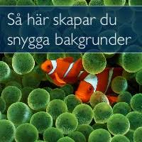 Lägg till egna bilder och detaljer tills du får utseendet du är ute efter. Sa Har Skapar Du Snygga Bakgrunder Magasin Macken