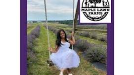 Lavender Festival at Maple Lawn Farms