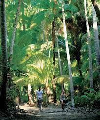 Explore The Brando Dream Holiday Travel Dreams White Sand Beach