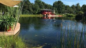 Ein sitzplatz und ein teich im garten war der wunsch dieser gartenbesitzer. Wie Kann Ich Wasser Im Feng Shui Garten Einsetzen