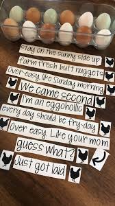 Funny Egg Carton Stickers Labels Only Etsy Chicken Coop Signs Funny Eggs Chicken Coop