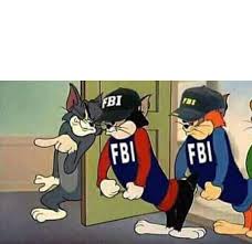Bitcoin price jumps above $40,000. Tom Jerry Fbi Blank Template Imgflip