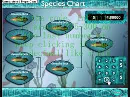 How To Get Infinity Dollars On Fish Tycoon Youtube