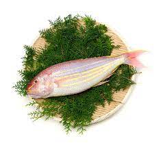 It's the same threadfin bream fish with orange skin and big round but why it has a strange name called sultan ibrahim? Buy Fresh Local Wild Caught Sultan Ibrahim Online Freshcatch