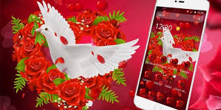 احصل على خلفية الشاشة نبات الأرز. Ø±Ø¯Ø© Ø­Ù…Ø±Ø§Ø¡ Ø¨ÙŠØ¶Ø§Ø¡ Ø­Ù…Ø§Ù…Ø© Ø§Ù„Ù…ÙˆØ¶ÙˆØ¹ For Android Apk Download