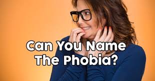 The 1960s produced many of the best tv sitcoms ever, and among the decade's frontrunners is the beverly hillbillies. Can You Name The Phobia Quizpug