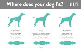 Sheep (like goats and dogs) have 13 pairs of ribs, some of which are attached via cartilage to the sternum (true ribs), some are attached to the true ribs (false ribs), and some. What S Your Dog S Ideal Weight