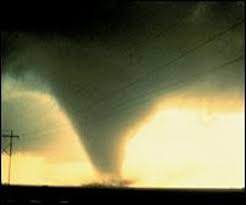 From there, tornadoes can have wind speeds up to 300 mph and cause. Fact Or Fiction South Of The Equator Toilets Flush And Tornadoes Spin In The Opposite Direction Scientific American