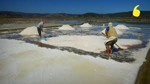Salineros De Cahuil La Sal Sanita Que Se Extrae Del Mar Youtube