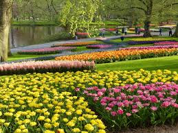 Ook workshops fotografie en fotoshoots met partner, gezin of familie. Im Keukenhof Blumenzwiebeln Fruhlingsgarten Tulpen