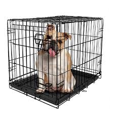 Best dog crates with dividers 2021. Vibrant Life Single Door Folding Wire Dog Crate With Divider 36 Walmart Com Walmart Com
