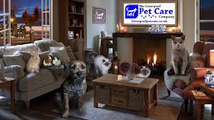Check spelling or type a new query. The Liverpool Pet Care Company