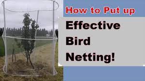 Great information for pest control operators. How To Put Up Bird Netting Effective Bird Netting Youtube