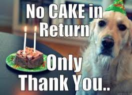 Birthday Thank You Meme Pin On Thank You