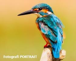 Kebanyakan gambar dari hasil fotografi ini diambil didaerah luar perkotaan atau di ladang/perkebunan, contohnya: Bedakan Teknik Foto Landscape Dan Portrait Untuk Hasil Yang Pas Shellyloch Com