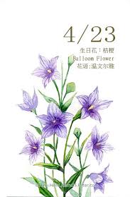 每日一花4 23 生日花 haru hello vintage floral wallpapers flower drawing watercolor flowers